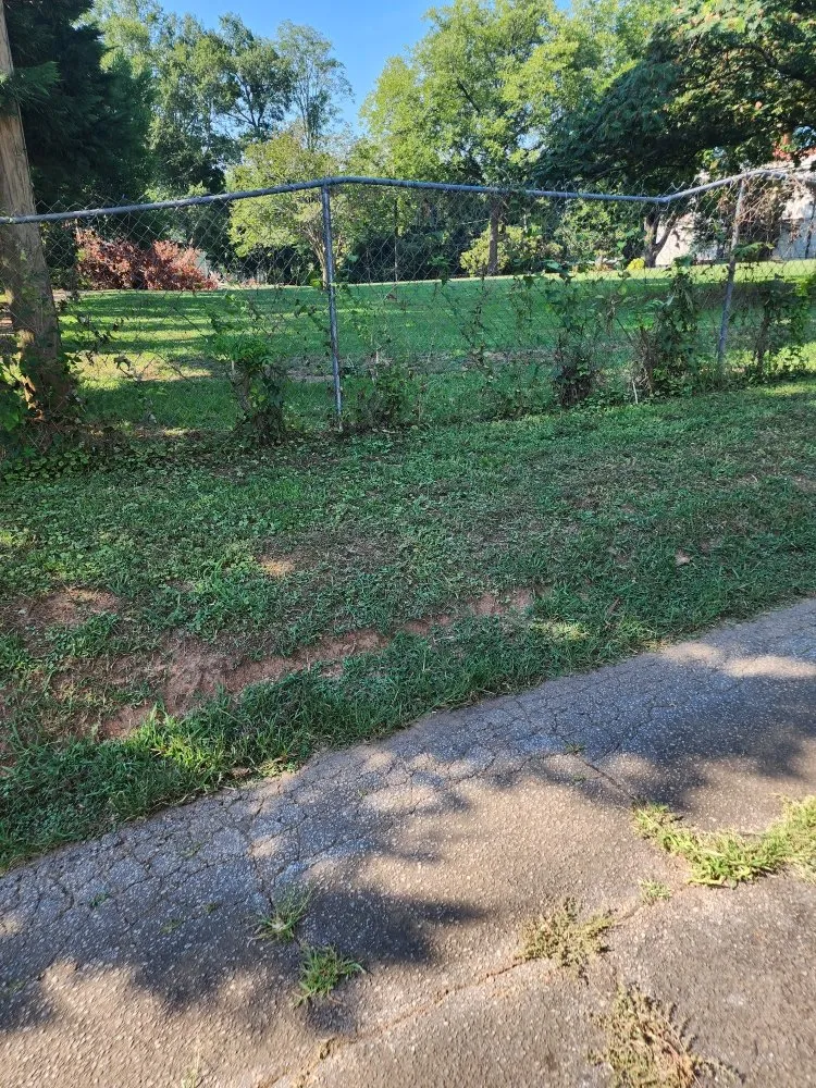 Top-rated residential landscaping in Anderson, SC - They See Me Mowing