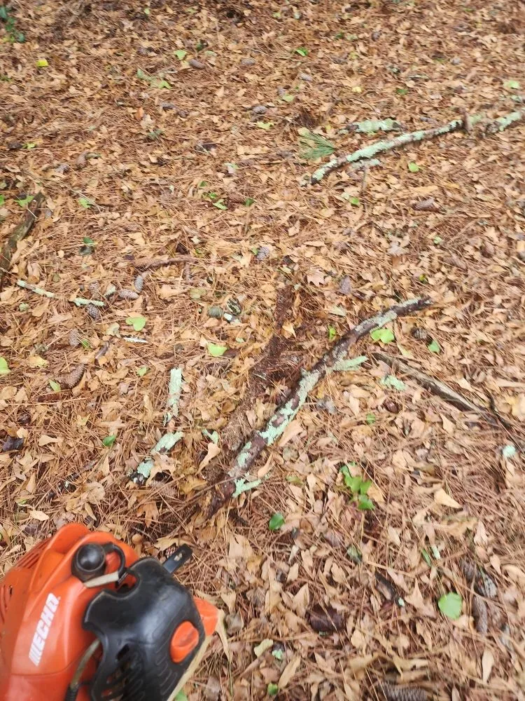 Trusted landscape installation in Anderson, SC by They See Me Mowing