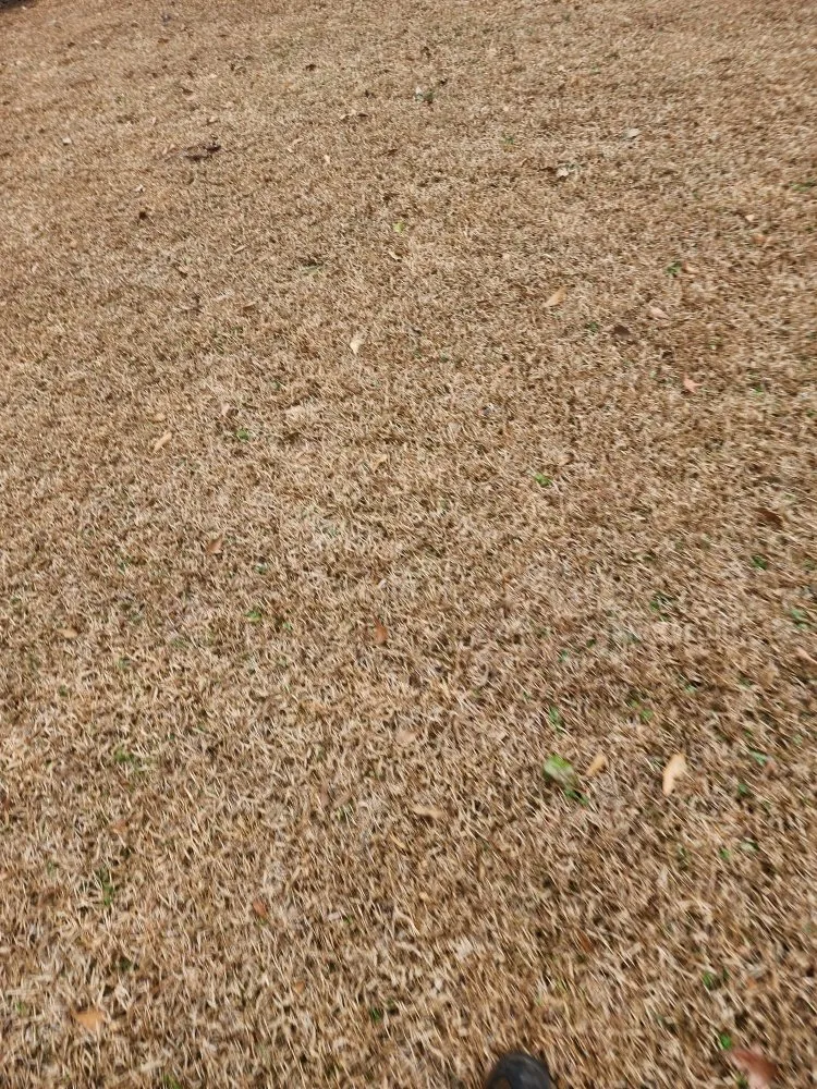 Professional garden landscaping in Anderson, SC by They See Me Mowing