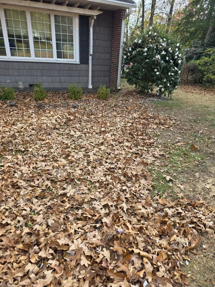 Top-rated yard maintenance in Anderson, SC by They See Me Mowing