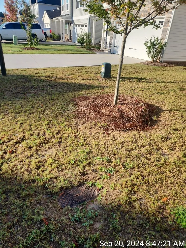 Local landscape installation experts serving Anderson, SC - They See Me Mowing