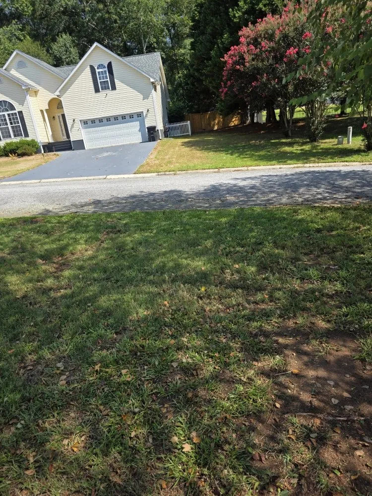 Top-rated outdoor landscaping experts serving Anderson, SC - They See Me Mowing