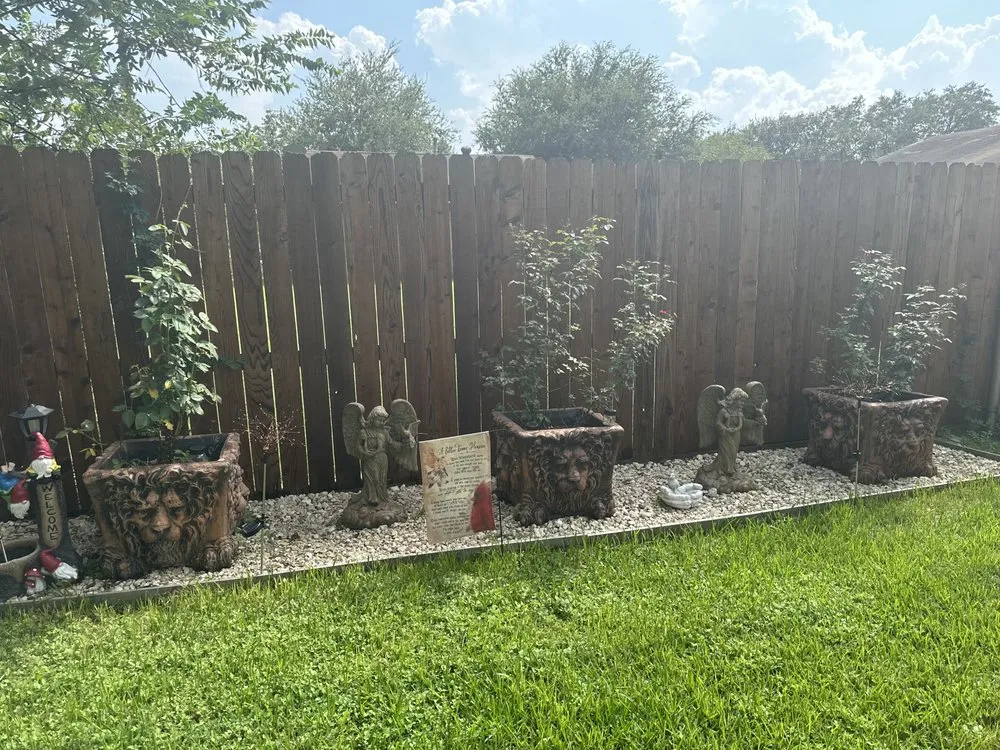 Professional lawn care service in La Porte, TX by TheYard Boy's