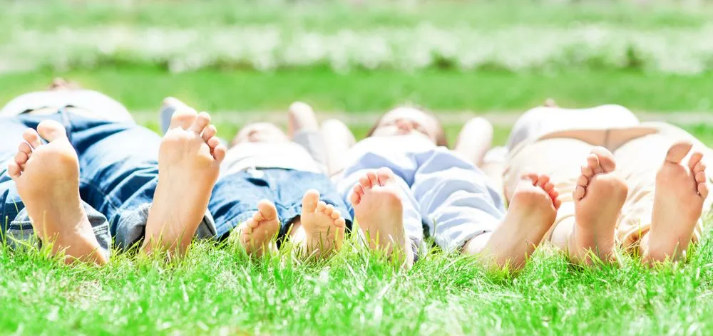 Custom garden landscaping experts serving Converse, TX - Thick Green Healthy Lawn & Pest