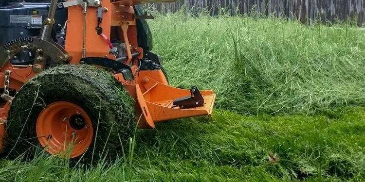 Trusted landscaping services experts serving Liberty Township, OH - Thick Green Line Lawn Care