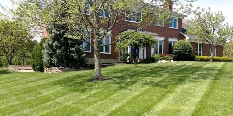 Local lawn care service in Liberty Township, OH by Thick Green Line Lawn Care