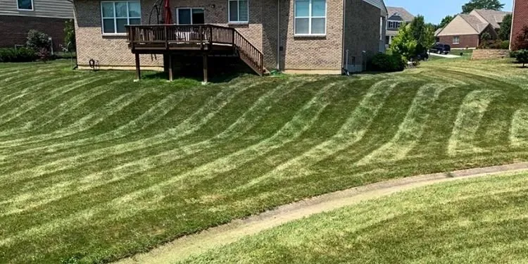 Expert landscape installation near you across Liberty Township, OH - Thick Green Line Lawn Care
