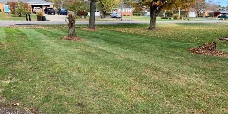 Trusted yard maintenance for year-round maintenance in Liberty Township, OH by Thick Green Line Lawn Care