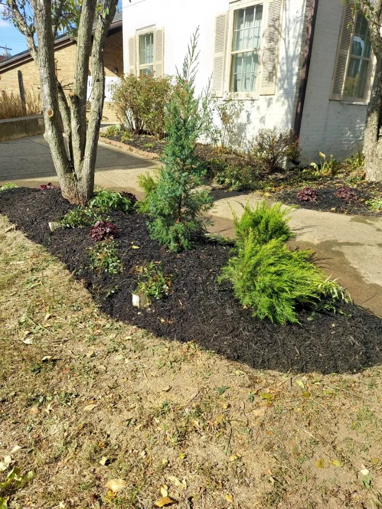 Affordable yard cleanup service for outdoor upgrades across Oxford, OH - Thick Of It