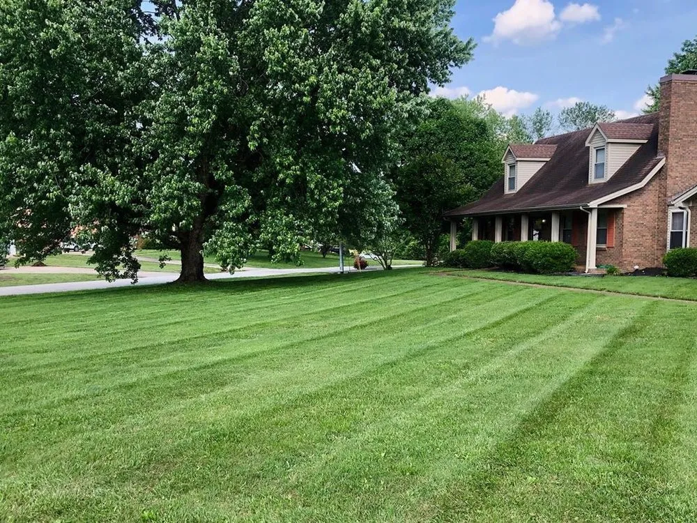 Custom yard maintenance in Clarksville, TN by Thin Red Line Landscaping
