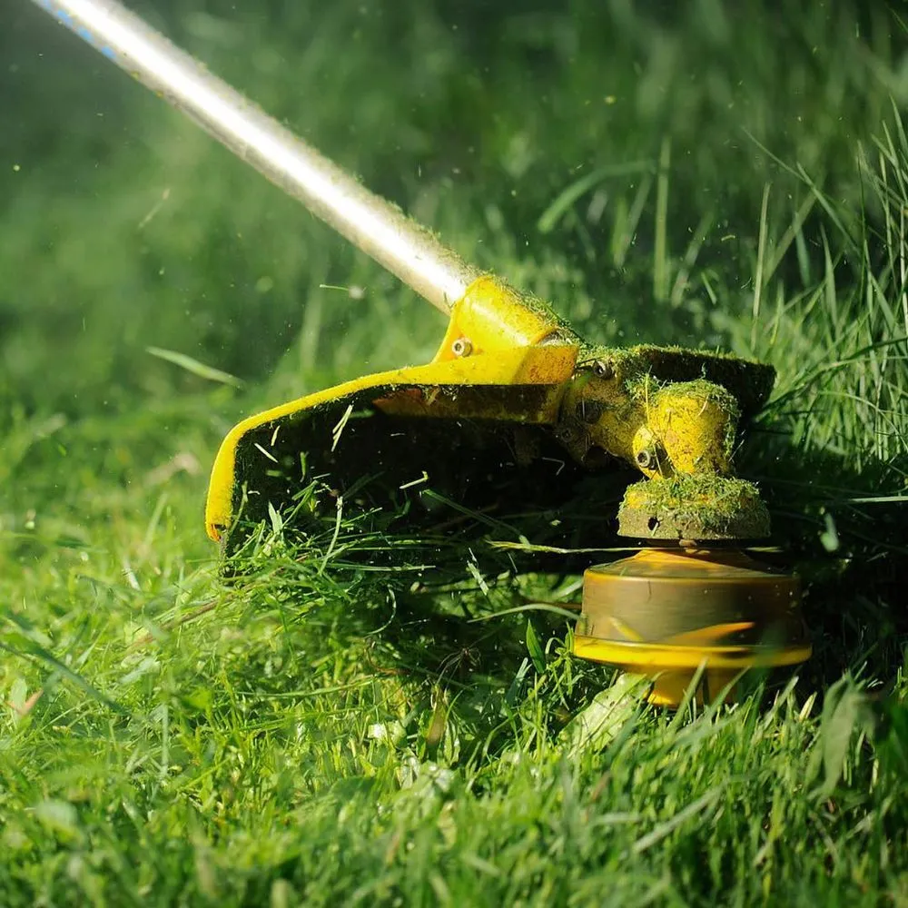 Top-rated lawn care service in Clarksville, TN by Thin Red Line Landscaping
