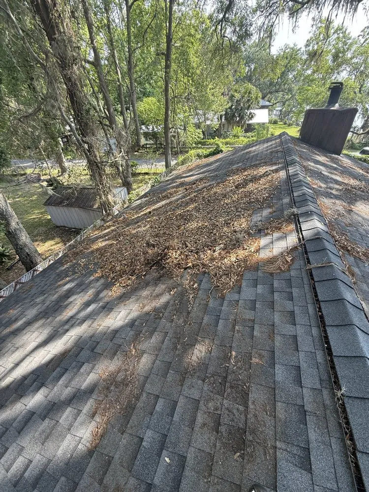 Professional residential landscaping near you in Brunswick, GA by Thin Red Line Lawn Care