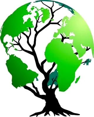 Reliable landscape design in Portland, OR - Think Green Landscape Services