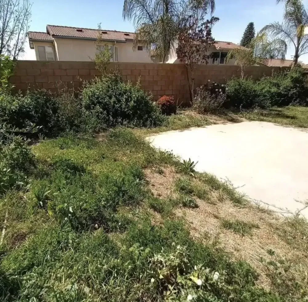 Trusted outdoor landscaping in GLMN HOT SPGS, CA - Think Green Landscaping