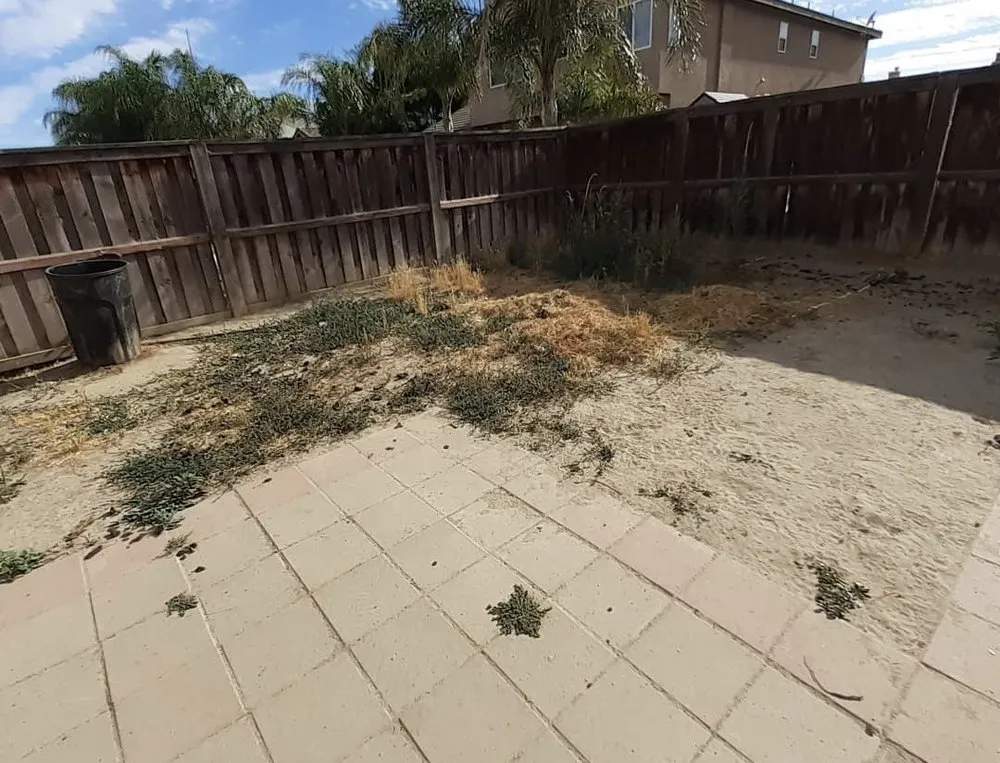 Affordable landscape design in GLMN HOT SPGS, CA - Think Green Landscaping