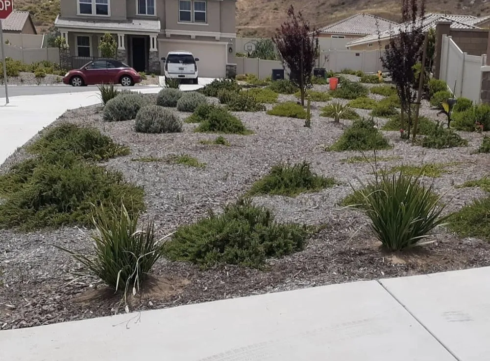 Top-rated landscape design in GLMN HOT SPGS, CA by Think Green Landscaping