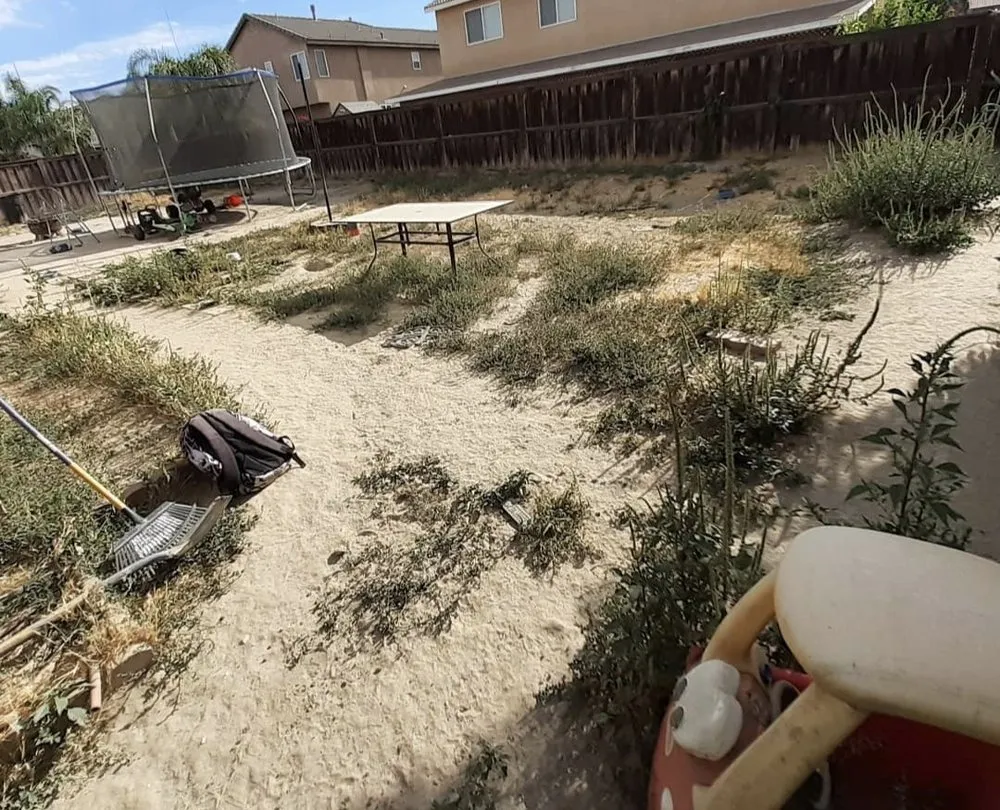 Reliable landscaping services in GLMN HOT SPGS, CA - Think Green Landscaping
