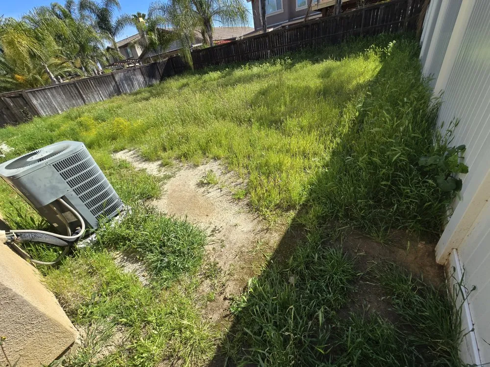 Top-rated outdoor landscaping in GLMN HOT SPGS, CA - Think Green Landscaping