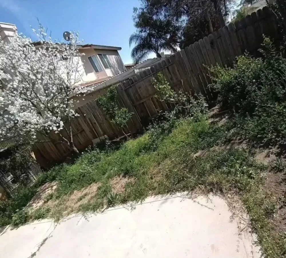 Professional yard cleanup service in GLMN HOT SPGS, CA - Think Green Landscaping