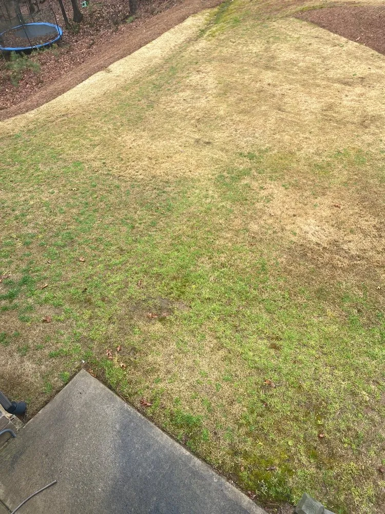 Local outdoor landscaping with custom design in Cumming, GA by Think Green Lawn Service