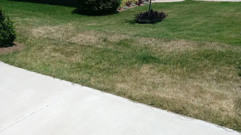 Local yard maintenance in Cumming, GA by Think Green Lawn Service