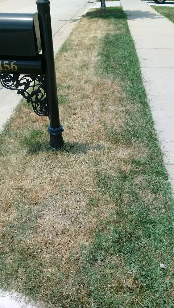 Professional yard cleanup service in Cumming, GA - Think Green Lawn Service