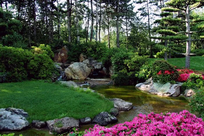 Expert lawn care service in Fayetteville, GA - Think Green Lawn Service