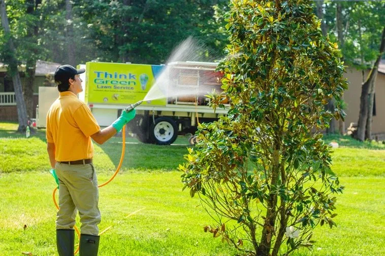 Top-rated residential landscaping for year-round maintenance across Fayetteville, GA - Think Green Lawn Service