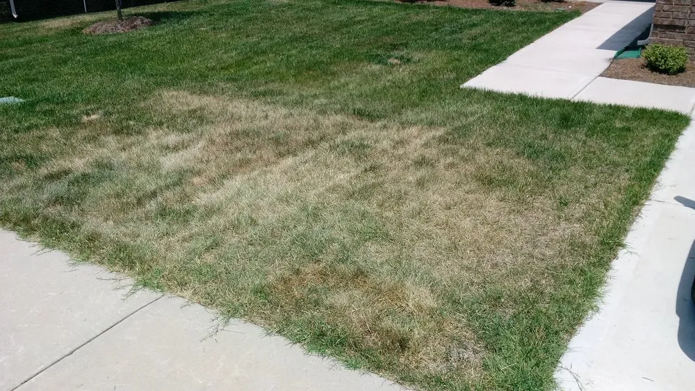 Top-rated residential landscaping in Monroe, NC - Think Green Lawn Service