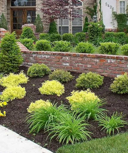 Local lawn care service experts serving Monroe, NC - Think Green Lawn Service