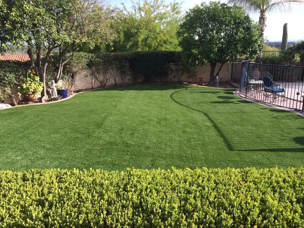 Affordable landscaping services in Tucson, AZ by Think Turf