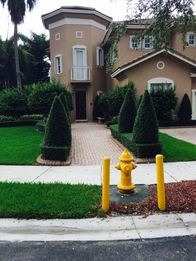 Local landscaping services experts serving Homestead, FL - Thinking Green Landscaping