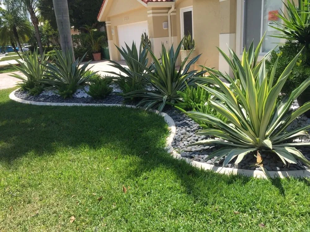 Top-rated garden landscaping experts serving Homestead, FL - Thinking Green Landscaping