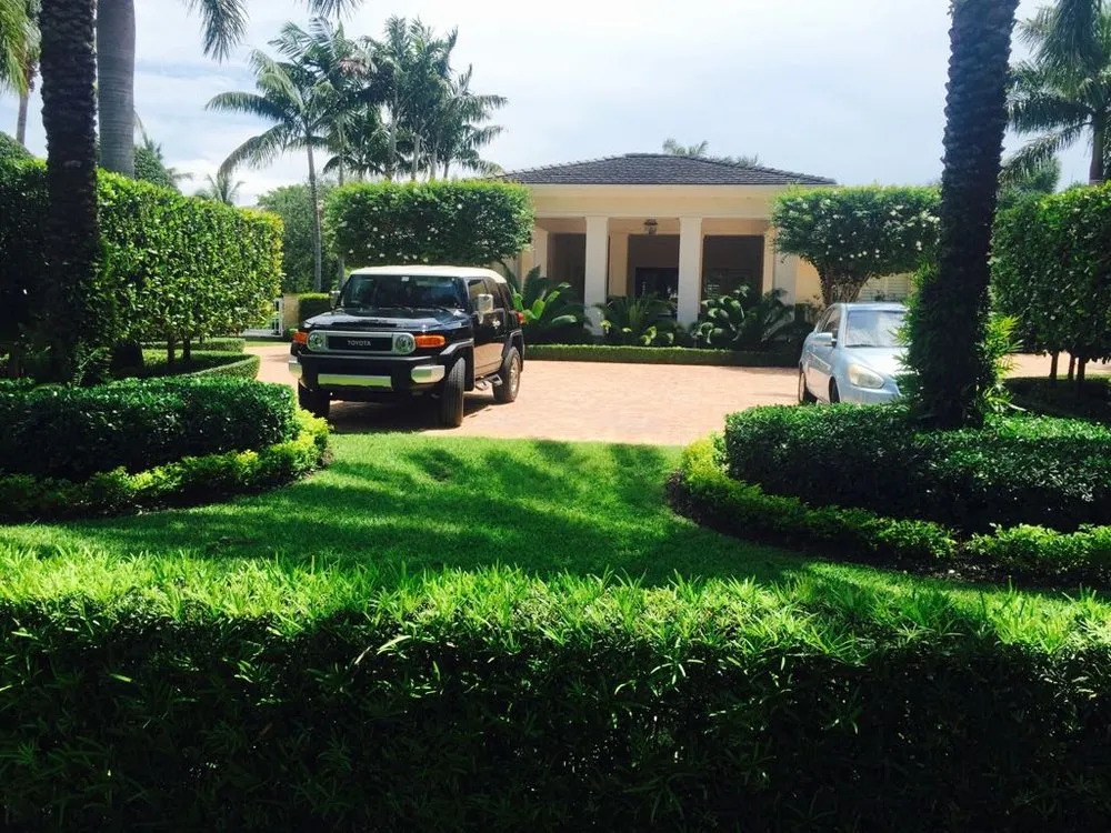 Expert yard cleanup service near you in Homestead, FL by Thinking Green Landscaping