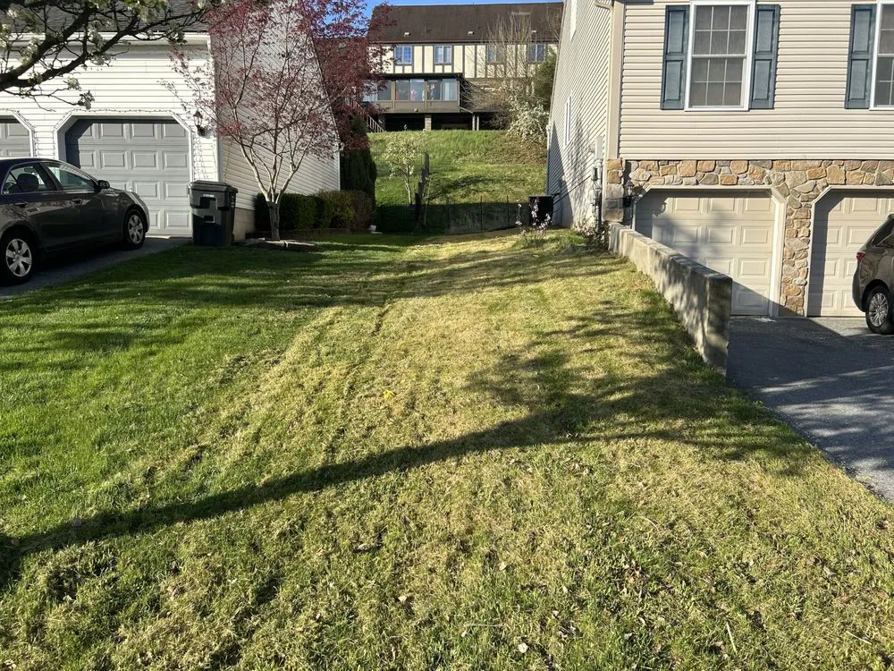 Affordable landscape design in Reading, PA - Thinna’s Property Services