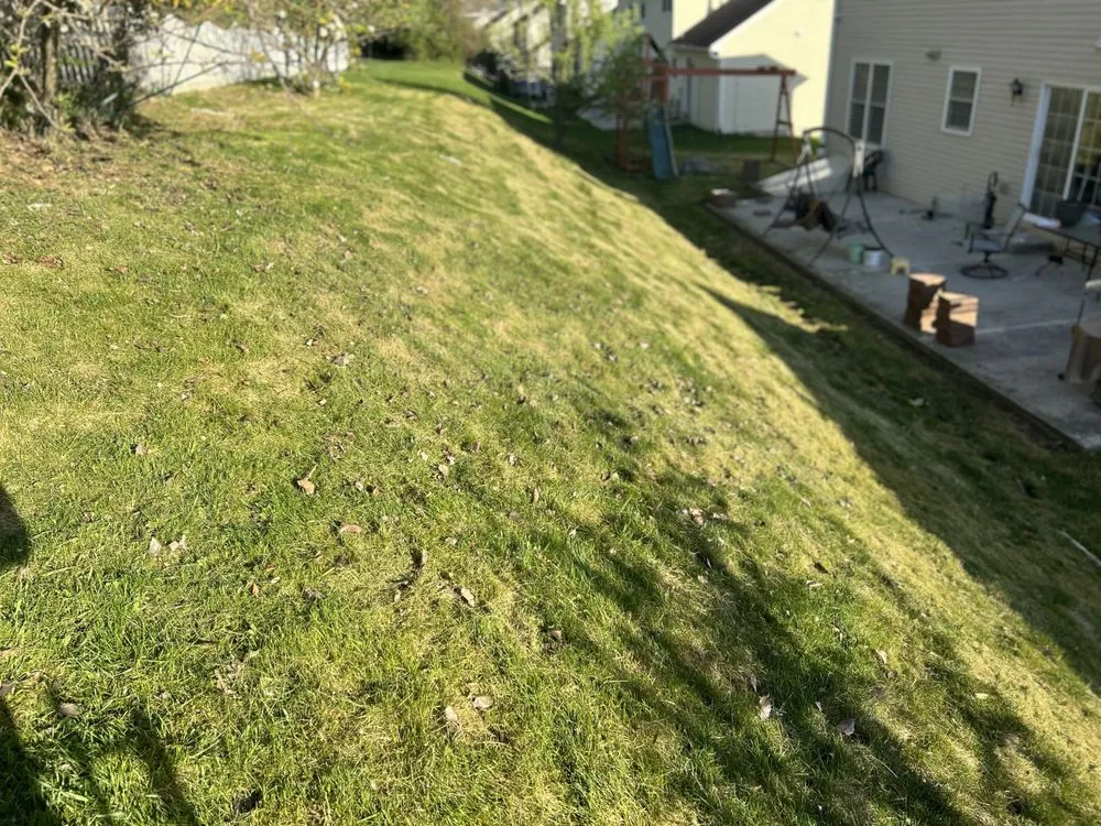 Reliable yard cleanup service for homes across Reading, PA - Thinna’s Property Services