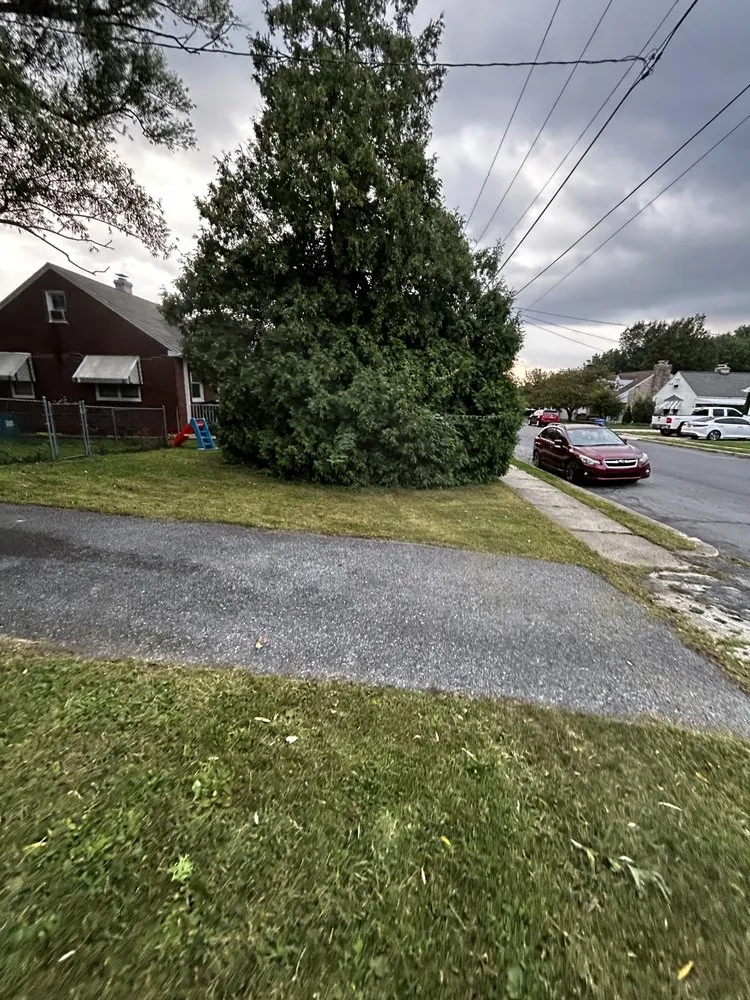 Local landscaping services for outdoor upgrades across Reading, PA - Thinna’s Property Services