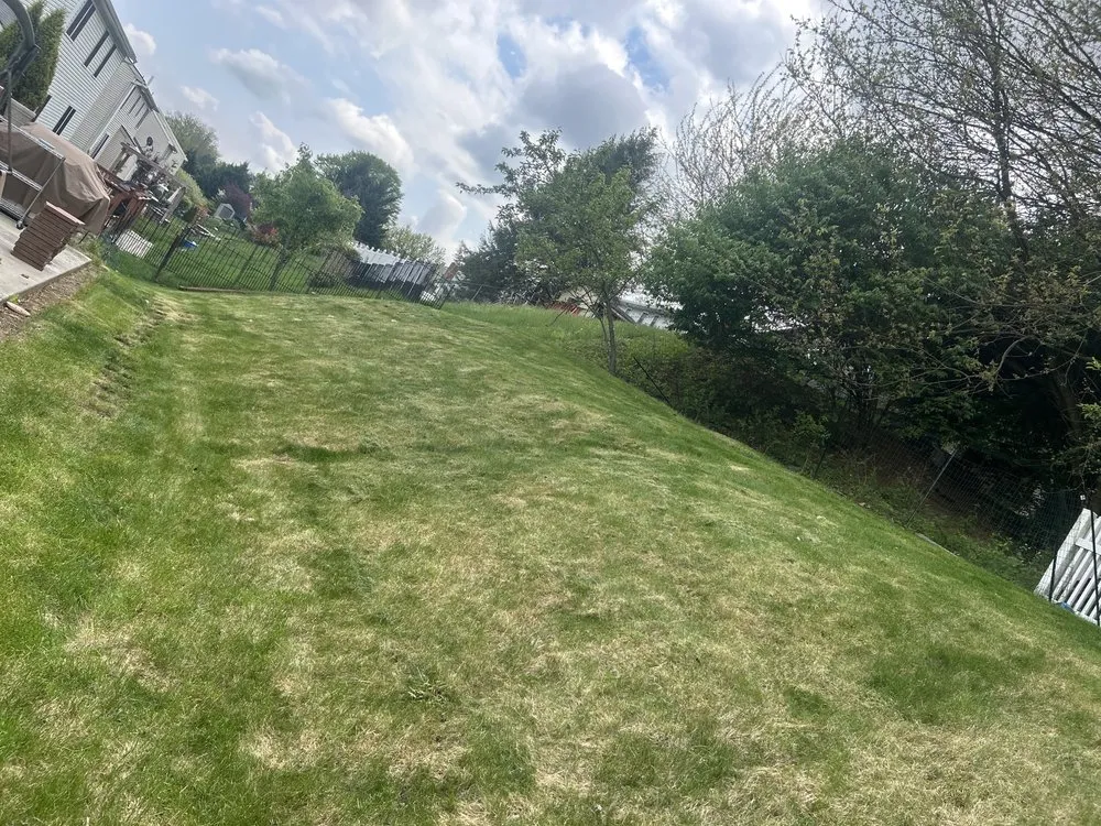 Trusted outdoor landscaping in Reading, PA - Thinna’s Property Services