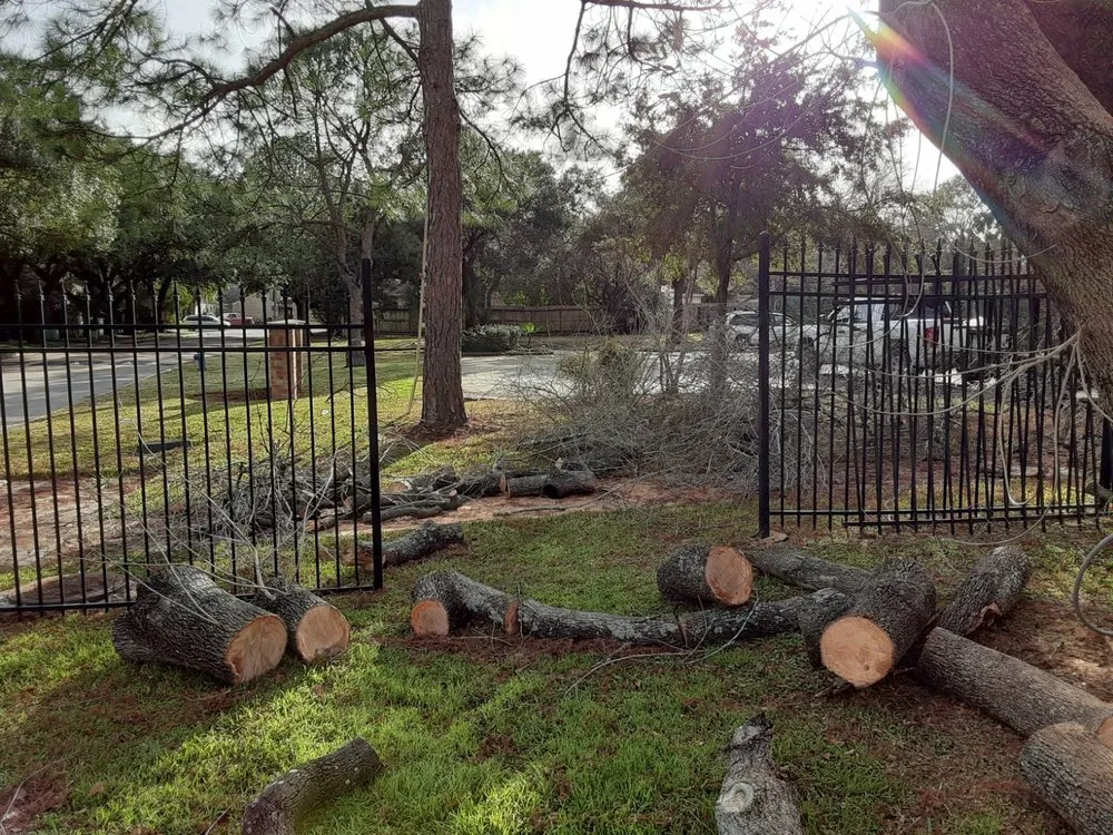 Top-rated outdoor landscaping in Tomball, TX - Third Coast Outdoors