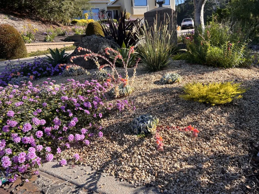 Top-rated garden landscaping in Sand City, CA - Third Heaven Landscape