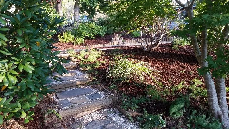 Professional yard cleanup service experts serving Asheville, NC - Third Stone Design