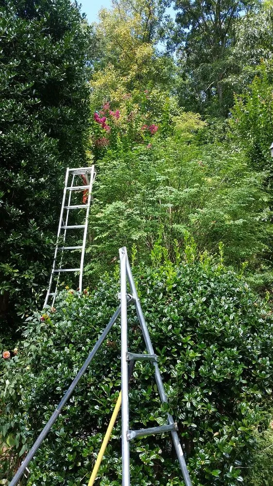 Trusted residential landscaping with custom design in Asheville, NC by Third Stone Design