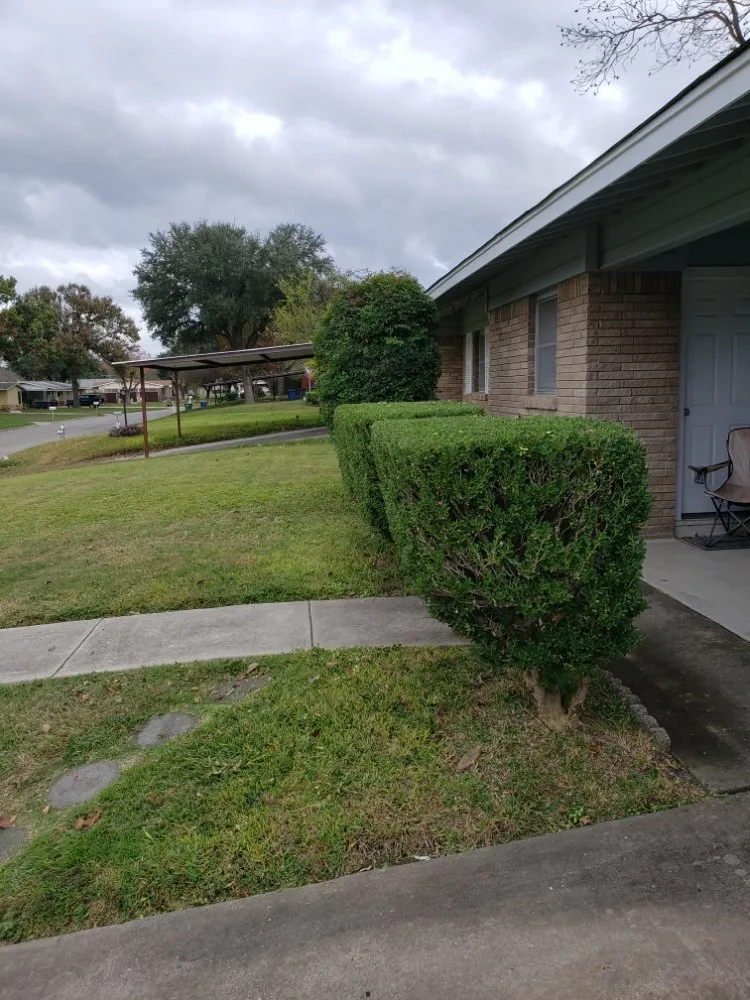 Trusted residential landscaping experts serving San Antonio, TX - ThirdNailTrades