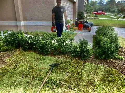 Reliable landscape design in Leesburg, FL - Thirsty Root USA