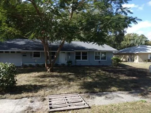 Top-rated lawn care service in Leesburg, FL - Thirsty Root USA