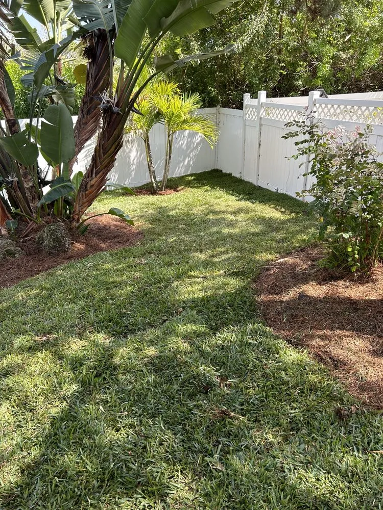 Top-rated yard maintenance experts serving Leesburg, FL - Thirsty Root USA