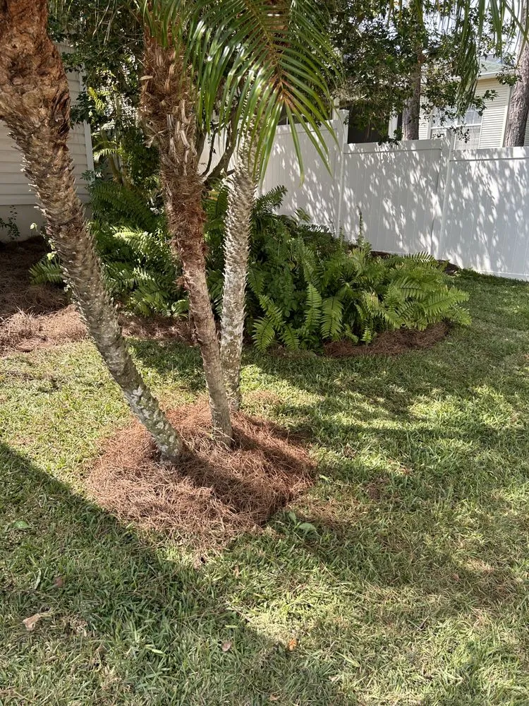 Trusted landscaping services experts serving Leesburg, FL - Thirsty Root USA