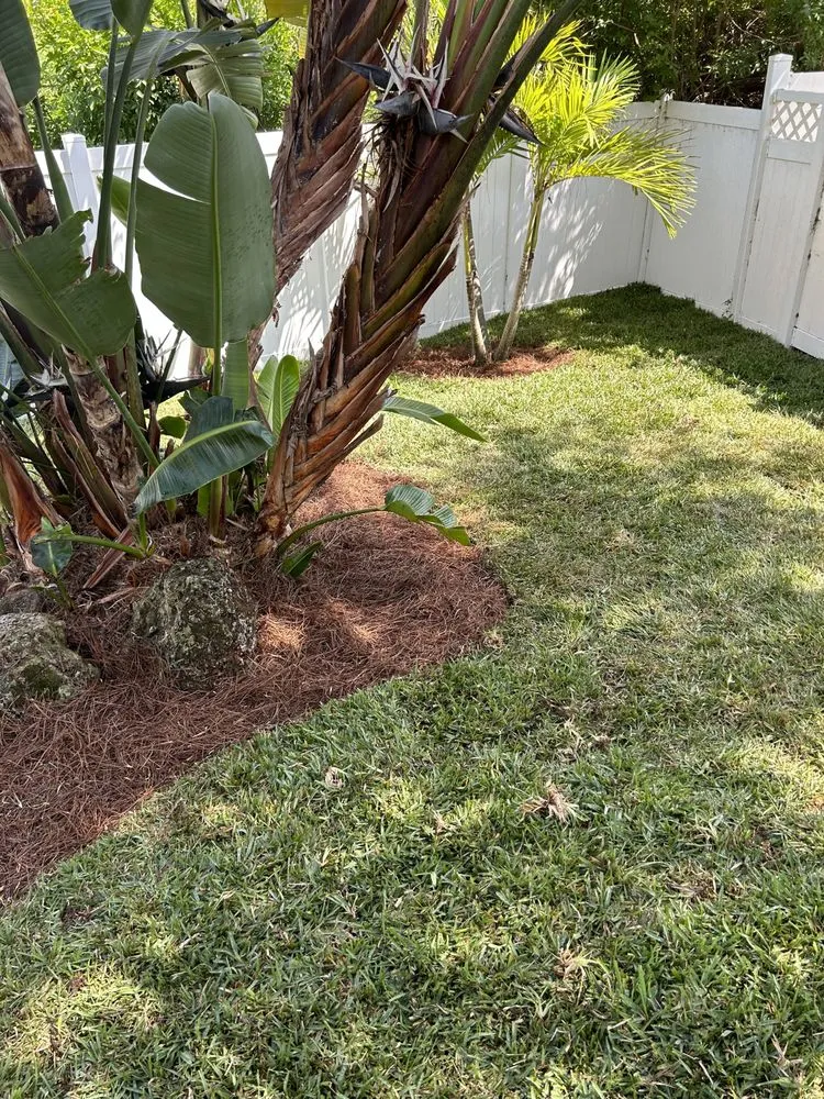 Trusted outdoor landscaping for year-round maintenance in Leesburg, FL by Thirsty Root USA