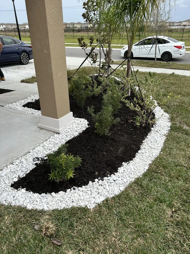 Professional yard maintenance in Leesburg, FL by Thirsty Root USA