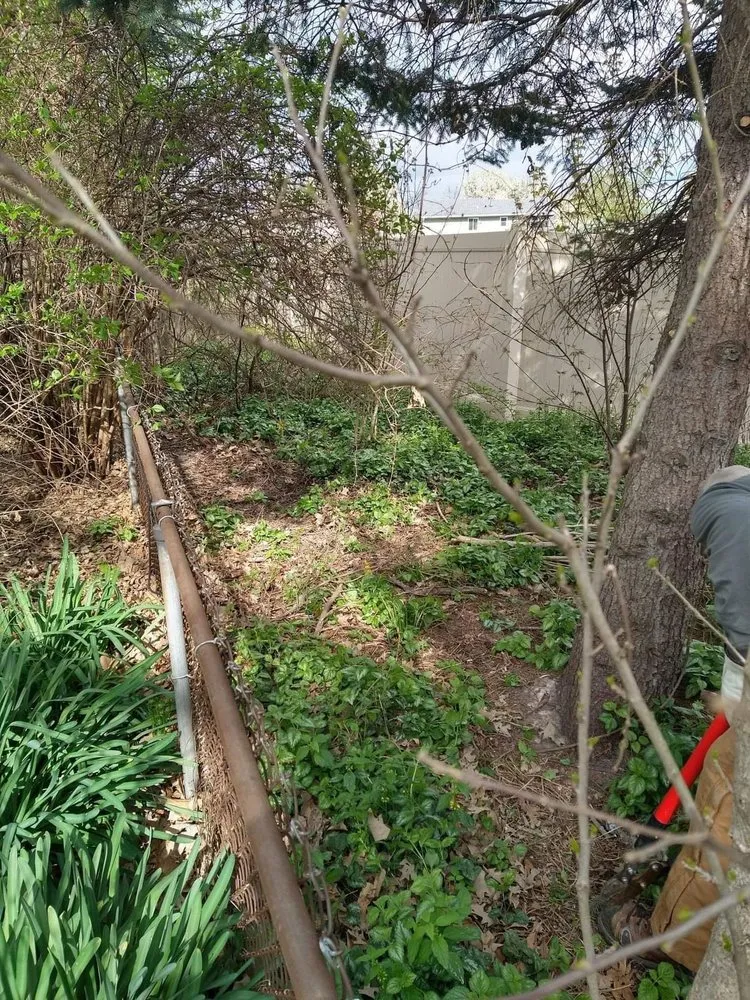 Local residential landscaping in Lake Station, IN - This & That Property Solutions